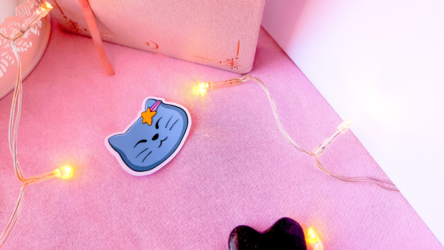 Cosmic Kitty