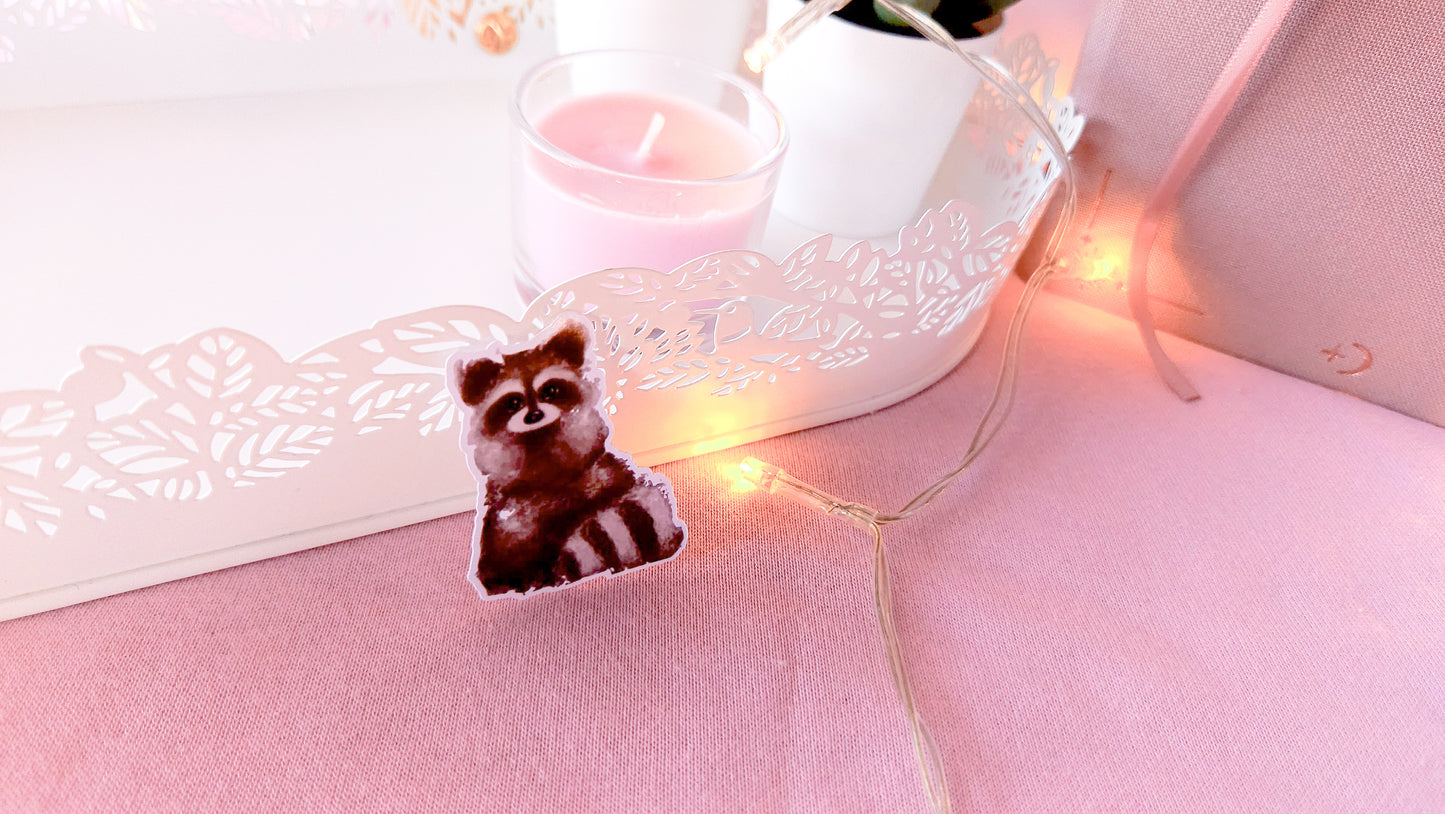 Raccoon